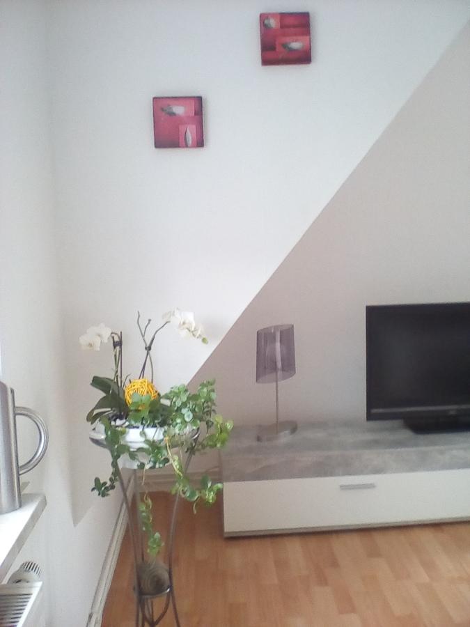 Ferienwohnung Am Geiersberg Walkenried Esterno foto