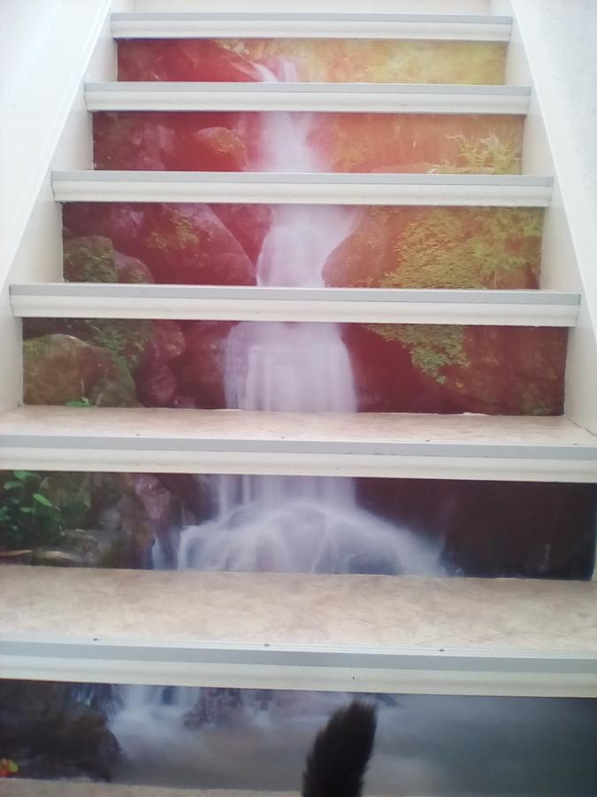 Ferienwohnung Am Geiersberg Walkenried Esterno foto