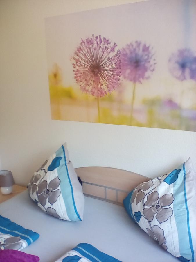 Ferienwohnung Am Geiersberg Walkenried Esterno foto