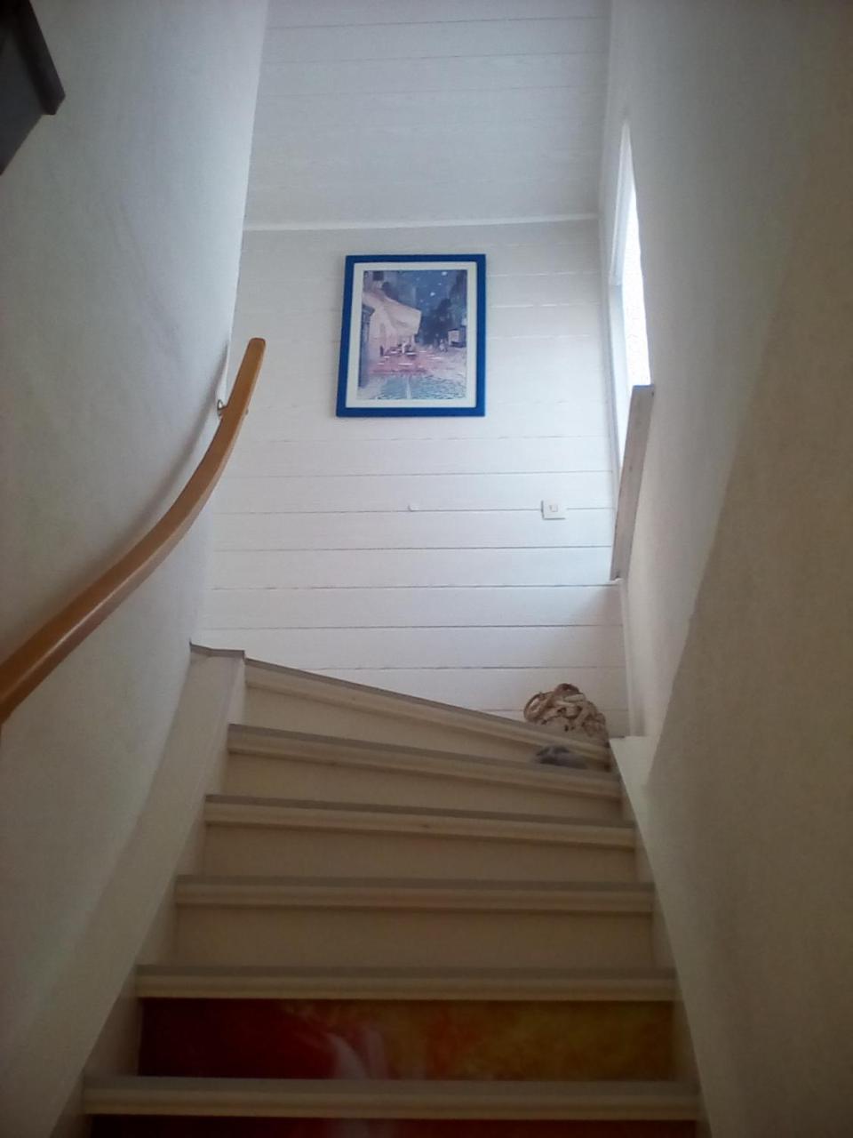 Ferienwohnung Am Geiersberg Walkenried Esterno foto
