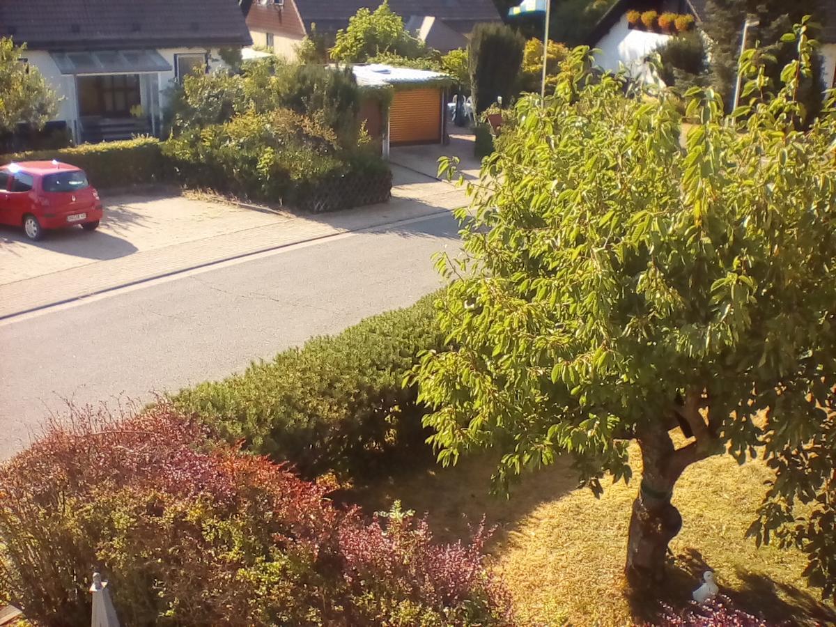 Ferienwohnung Am Geiersberg Walkenried Esterno foto